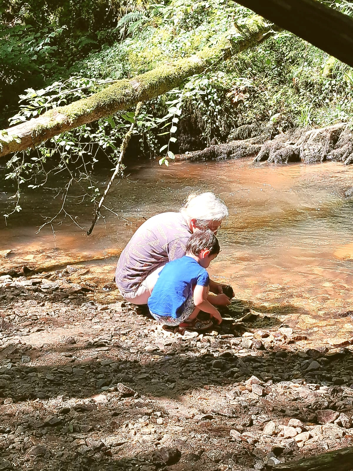 Atelier-découverte Le petite peuple des eaux au Lac de Feyt
