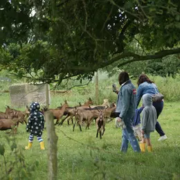 Atelier découverte : les animaux de la ferme