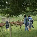 Atelier découverte : les animaux de la ferme