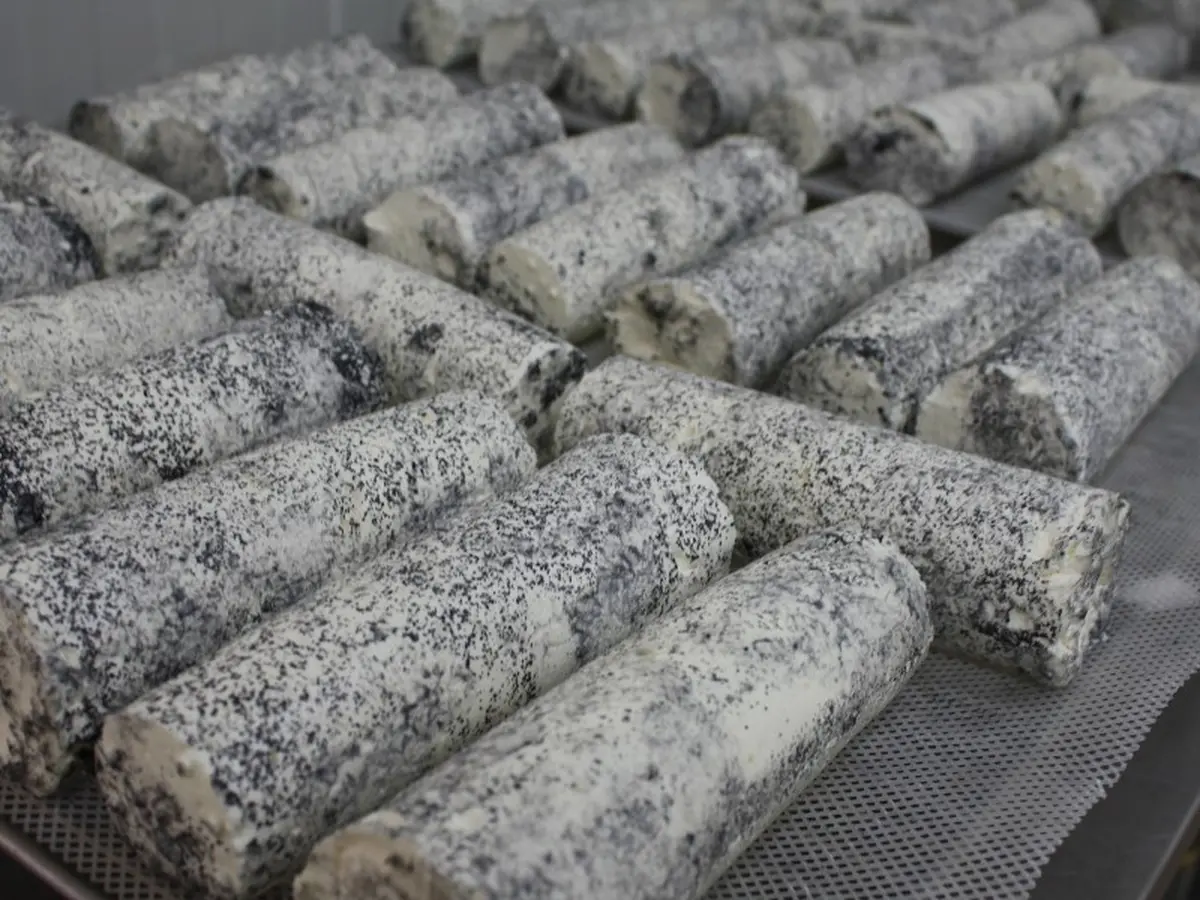 Atelier découverte : Les chevrettes et la magie du fromage