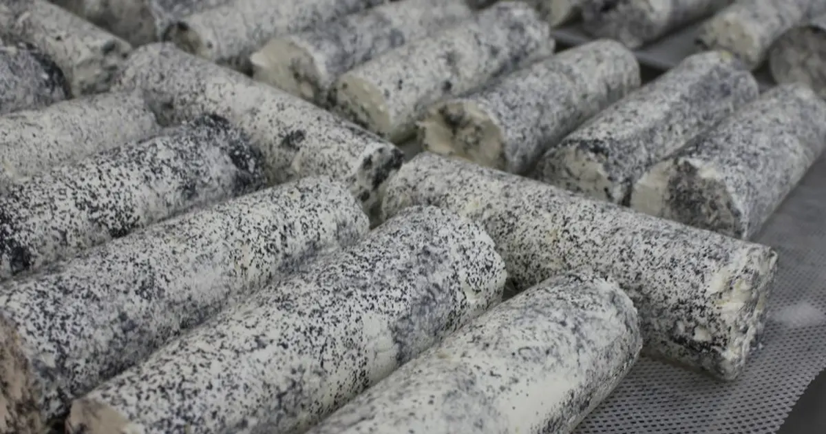 Atelier découverte : Les chevrettes et la magie du fromage