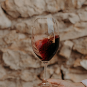 Atelier dégustation au château de Haute-Serre