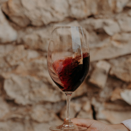 Atelier dégustation au château de Haute-Serre : découverte du Malbec