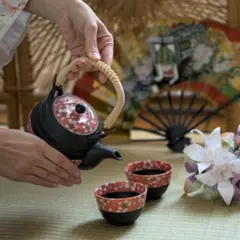 Atelier dégustation de thés verts japonais à Metz (57)