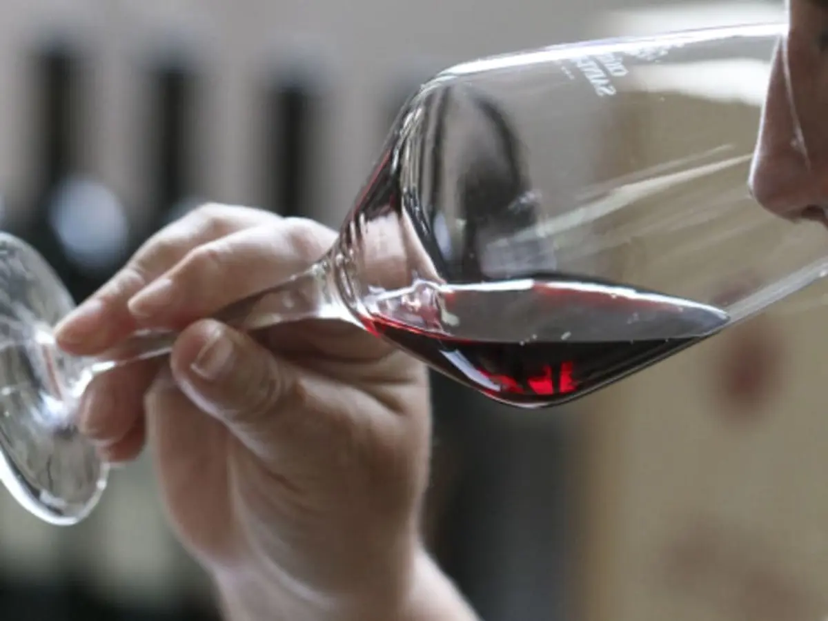 Atelier dégustation de vieux millésimes à Taradeau (83)