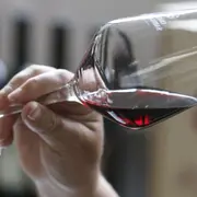 Atelier dégustation de vieux millésimes à Taradeau (83)