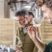 Atelier dégustation de vin à Bordeaux (33)