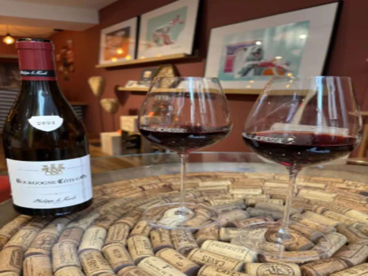 Atelier dégustation de vins à Dijon (21)