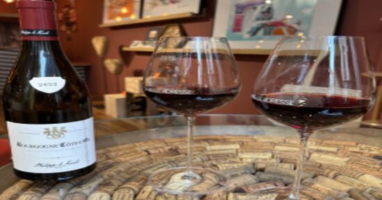 Top 5 des id&eacute;es sorties pour ce week-end &agrave; Dijon (du 24 au 26 avril 2026)