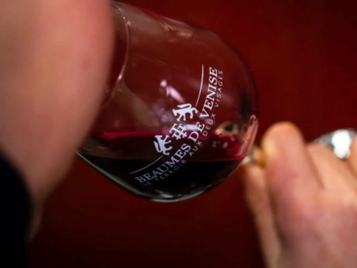Atelier dégustation de vins au Domaine des Garances (84)