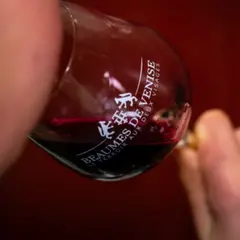 Atelier dégustation de vins au Domaine des Garances (84)