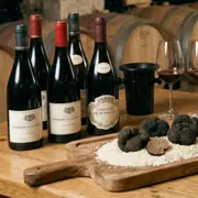 Atelier dégustation de vins et truffes à Vosne-Romanée (21)