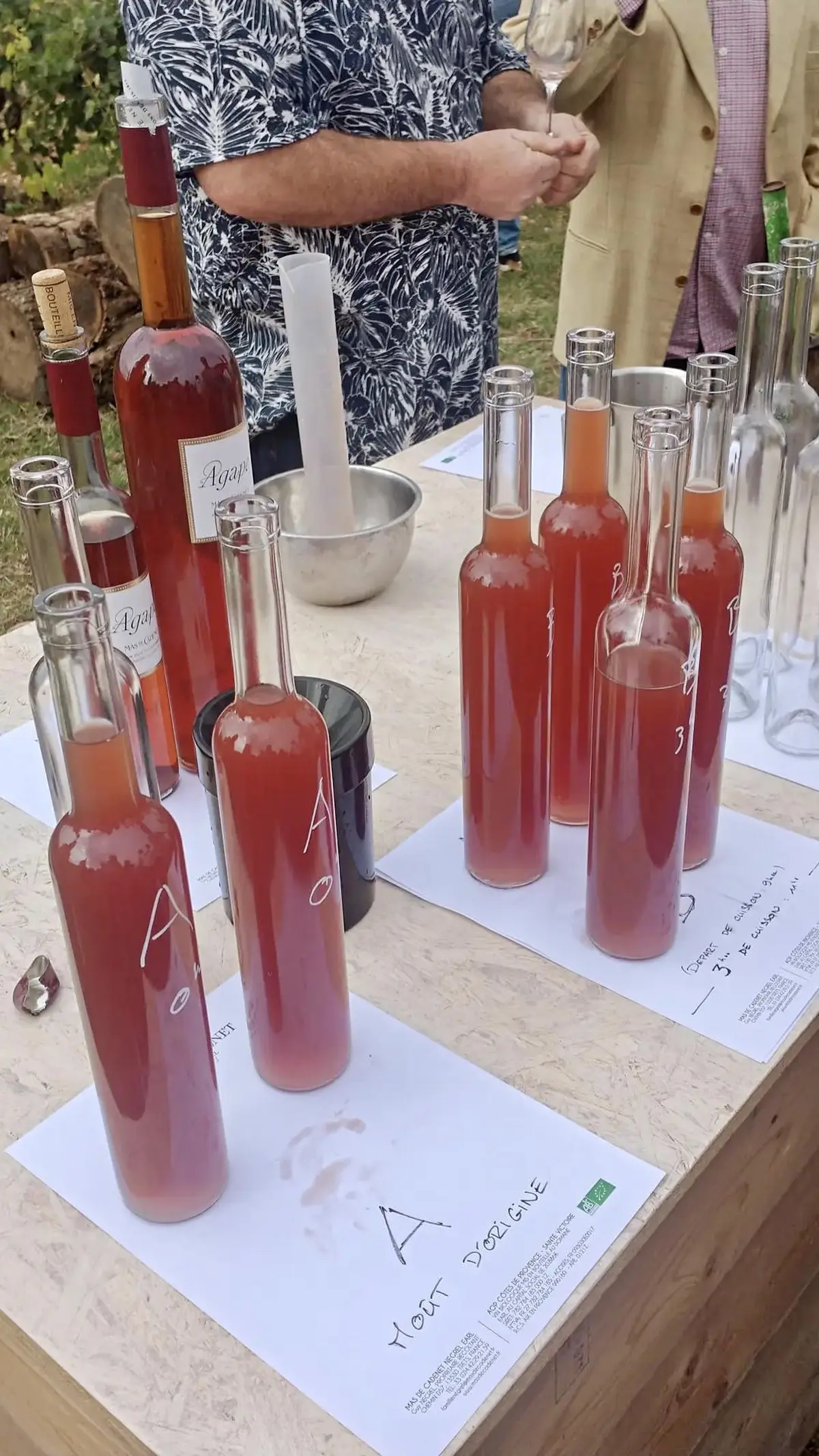 Atelier dégustation des vendanges