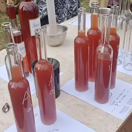 Atelier dégustation des vendanges