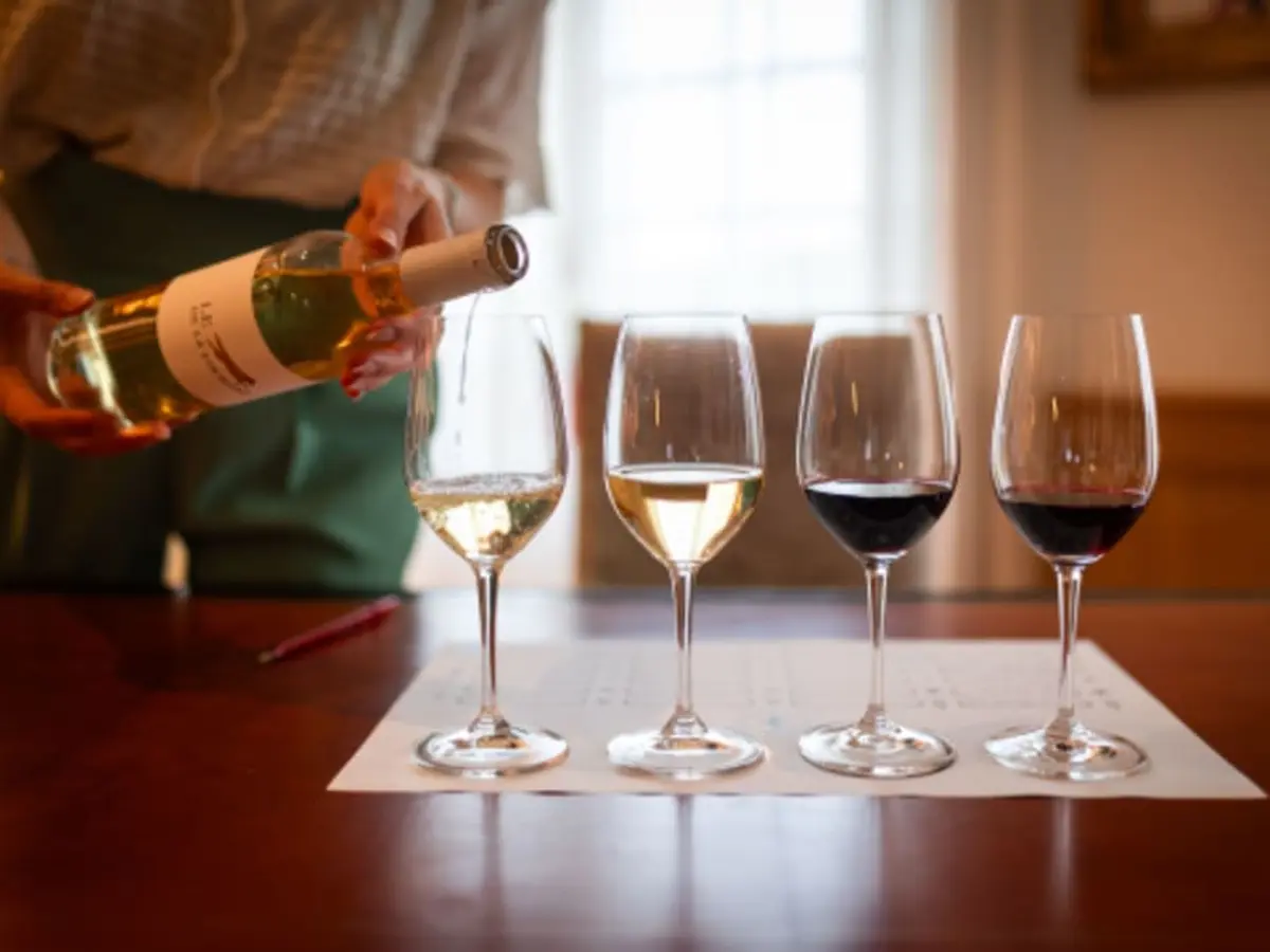 Atelier dégustation œnologie à Saint-Hippolyte (33)