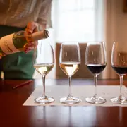 Atelier dégustation œnologie à Saint-Hippolyte (33)