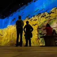 Exposition Van Gogh à l'Atelier des lumières &copy; Katell Ar Gow