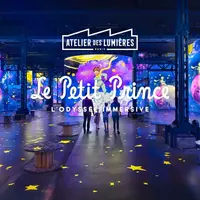 Atelier des Lumières - le Petit Prince, l'Odyssée Immersive &copy; feverup.com