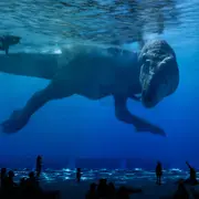 Atelier des Lumières - Planète Préhistorique : Dinosaures, l'expérience immersive