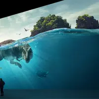 Attention au T. Rex ! &copy; Justin Sutcliffe