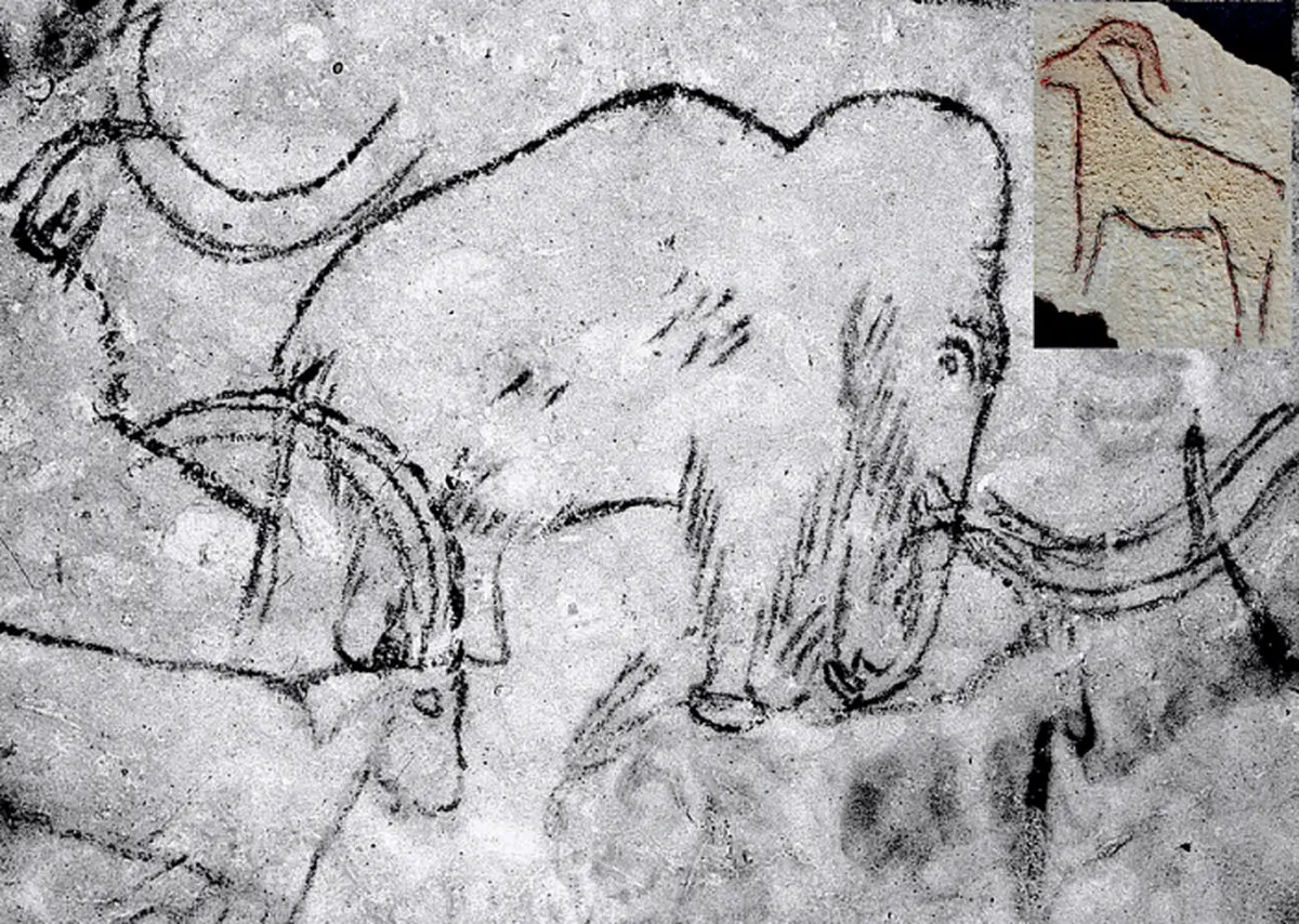 Atelier des p'tits curieux Art Magdalénien 