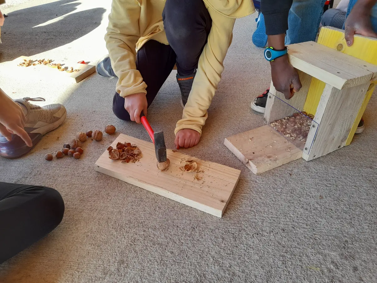 Atelier des p'tits curieux Fabrique un nichoir à écureuil