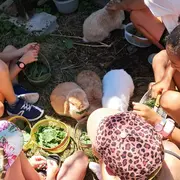Atelier des p'tits curieux : Immersion à la ferme : à la découverte du plantain