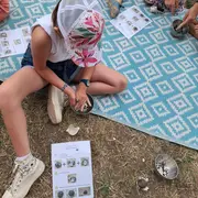 Atelier des p'tits curieux : Immersion à la ferme : les secrets des insectes pollinisateurs, les abeilles mais pas que !!