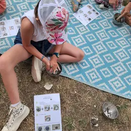 Atelier des p'tits curieux : Immersion à la ferme : les secrets des insectes pollinisateurs, les abeilles mais pas que !!