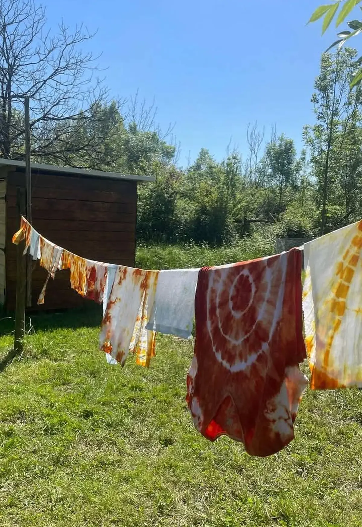 Atelier des p'tits curieux : Immersion à la ferme : Une palette de couleur pour les lapins et cochons d'Inde!!