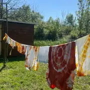 Atelier des p'tits curieux : Immersion à la ferme : Une palette de couleur pour les lapins et cochons d'Inde!!