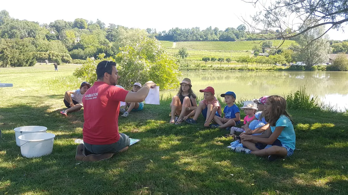 Atelier des p'tits curieux Les petites bêtes dans l'eau