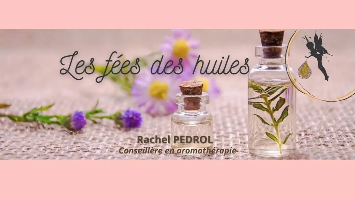 Atelier Des Petites Grenouilles
