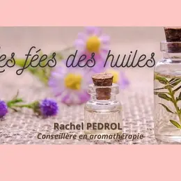 Atelier Des Petites Grenouilles