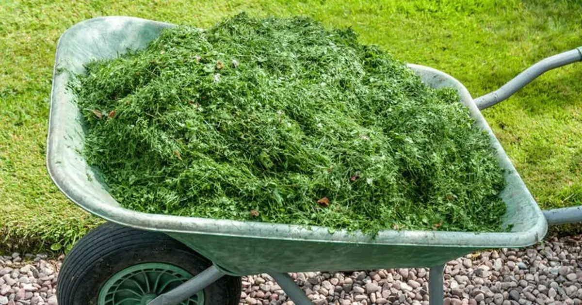 Atelier Des Solutions Pour Réutiliser Facilement Les Déchets De Jardin