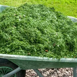 Atelier Des Solutions Pour Réutiliser Facilement Les Déchets De Jardin
