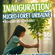Atelier désherbage et inauguration de la micro-forêt urbaine du Moulinet : un nouvel élan vert pour Pont-Sainte-Marie !