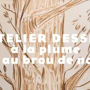 Atelier : Dessin à la plume et au brou de noix