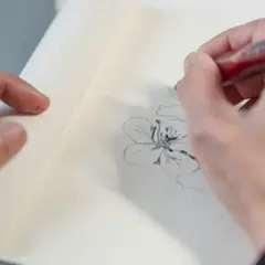 Atelier dessin & pique-nique en plein air au Parc Monceau (75)