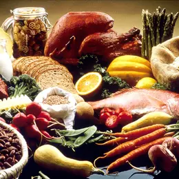 Atelier Diététique Et Nutrition