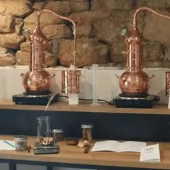 Atelier Distillation de votre gin à Quimper (29)