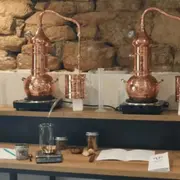 Quimper : notre sélection de sorties du week-end du 1 au 3 mai 2026