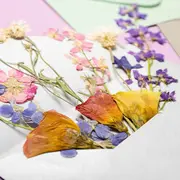 Atelier DIY - Création en fleurs séchées