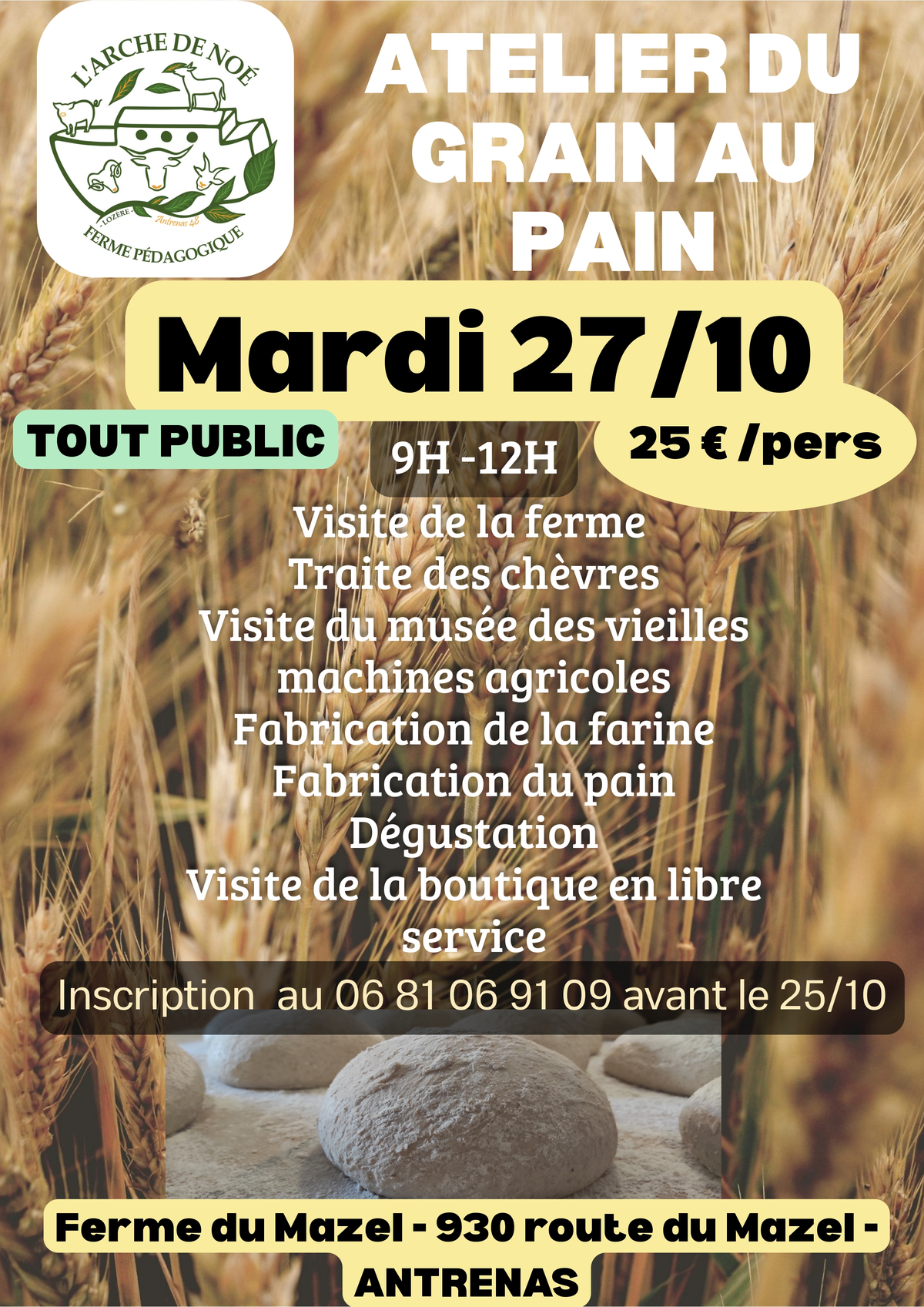Atelier Du Grain Au Pain
