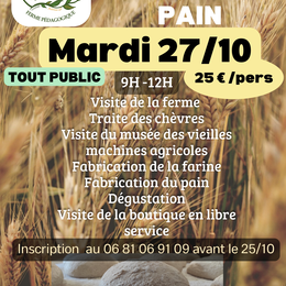 Atelier Du Grain Au Pain