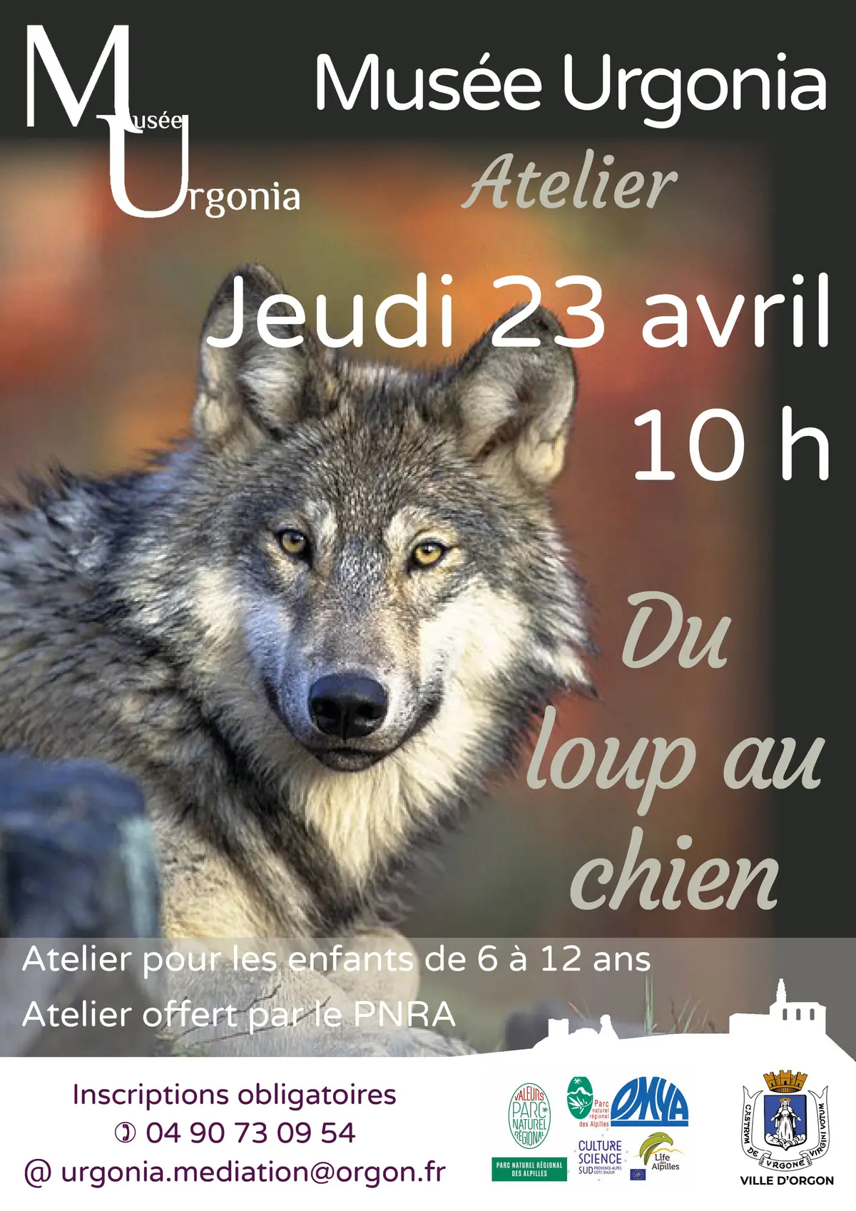 Atelier Du loup au chien