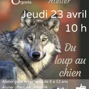 Atelier Du loup au chien