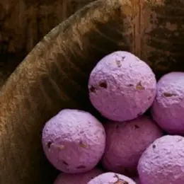 Atelier du samedi - Bombes de graines