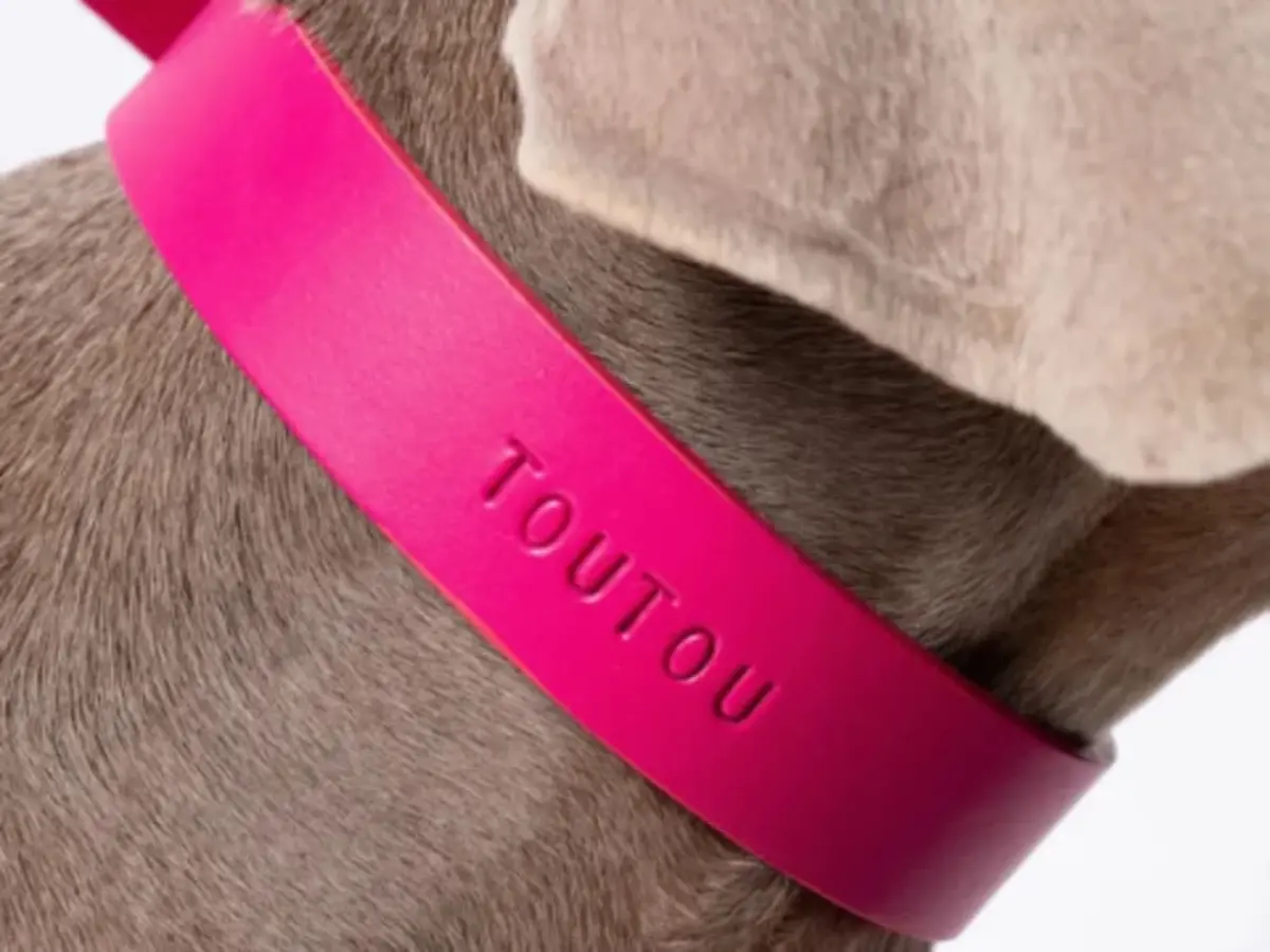 Atelier duo d'accessoires en cuir pour votre chien à Paris 2ème