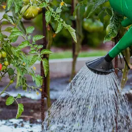 Atelier eau jardin